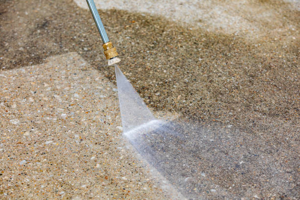 Best Spring Cleaning  in Madelia, MN